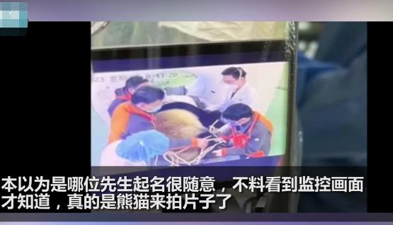 醫院有位患者叫熊貓是真熊貓 原因竟是這樣實在是太意外了